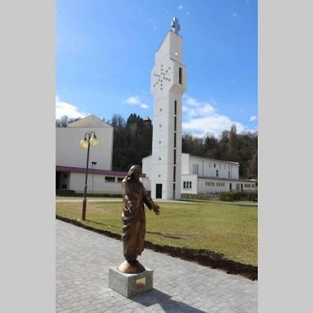 Apartmant Sandra - Big Terace And Free Parking Appartement Karlovac Buitenkant foto
