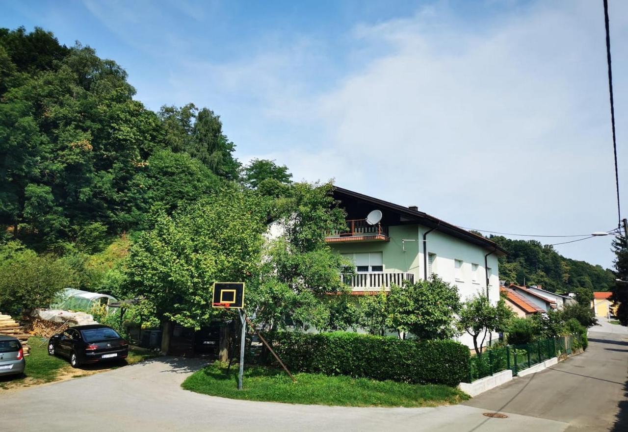 Apartmant Sandra - Big Terace And Free Parking Appartement Karlovac Buitenkant foto