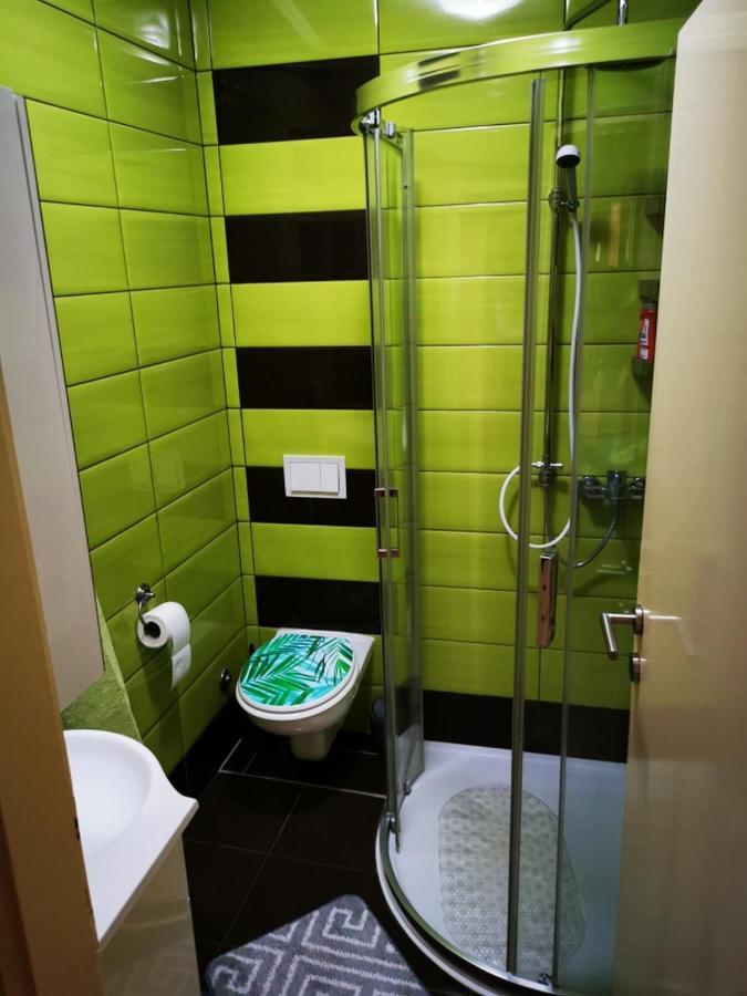 Apartmant Sandra - Big Terace And Free Parking Appartement Karlovac Buitenkant foto