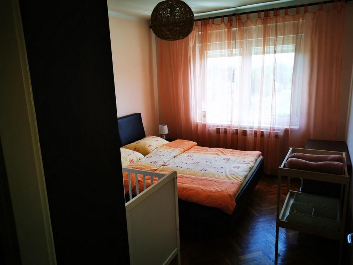 Apartmant Sandra - Big Terace And Free Parking Appartement Karlovac Buitenkant foto