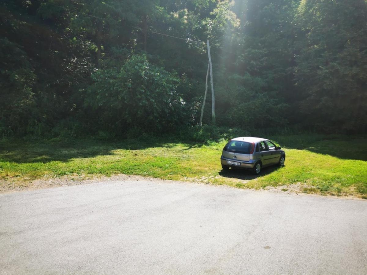 Apartmant Sandra - Big Terace And Free Parking Appartement Karlovac Buitenkant foto
