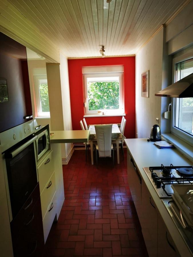 Apartmant Sandra - Big Terace And Free Parking Appartement Karlovac Buitenkant foto