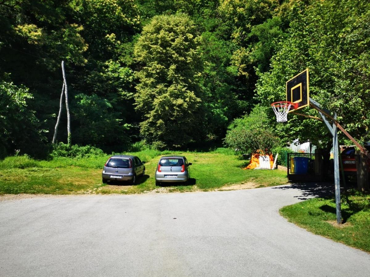 Apartmant Sandra - Big Terace And Free Parking Appartement Karlovac Buitenkant foto