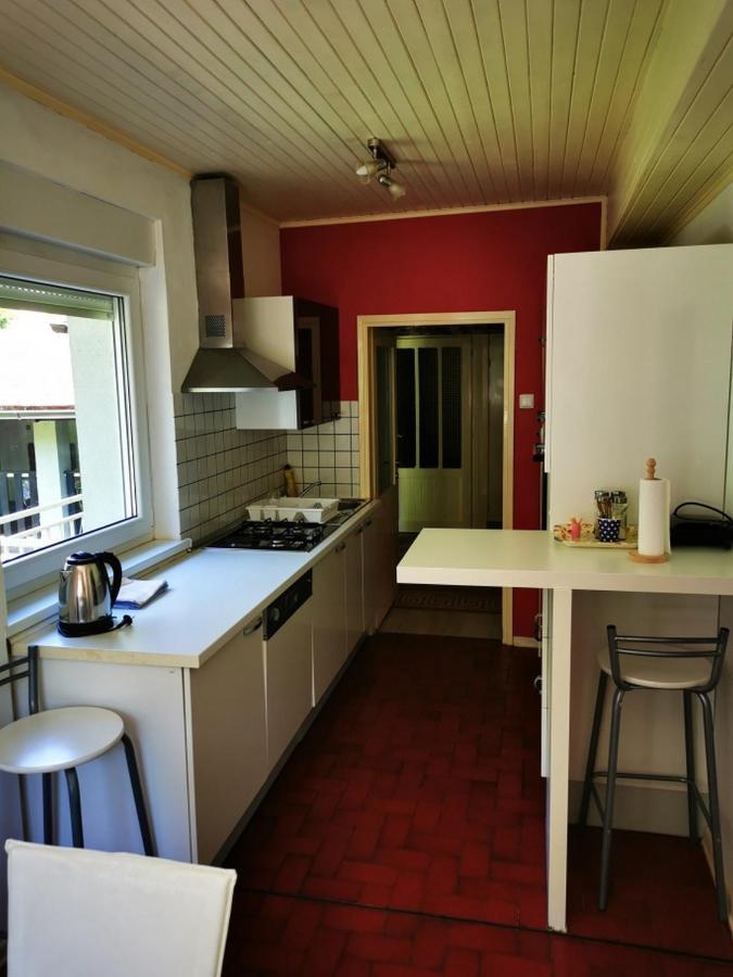 Apartmant Sandra - Big Terace And Free Parking Appartement Karlovac Buitenkant foto