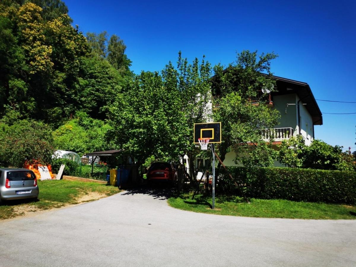 Apartmant Sandra - Big Terace And Free Parking Appartement Karlovac Buitenkant foto