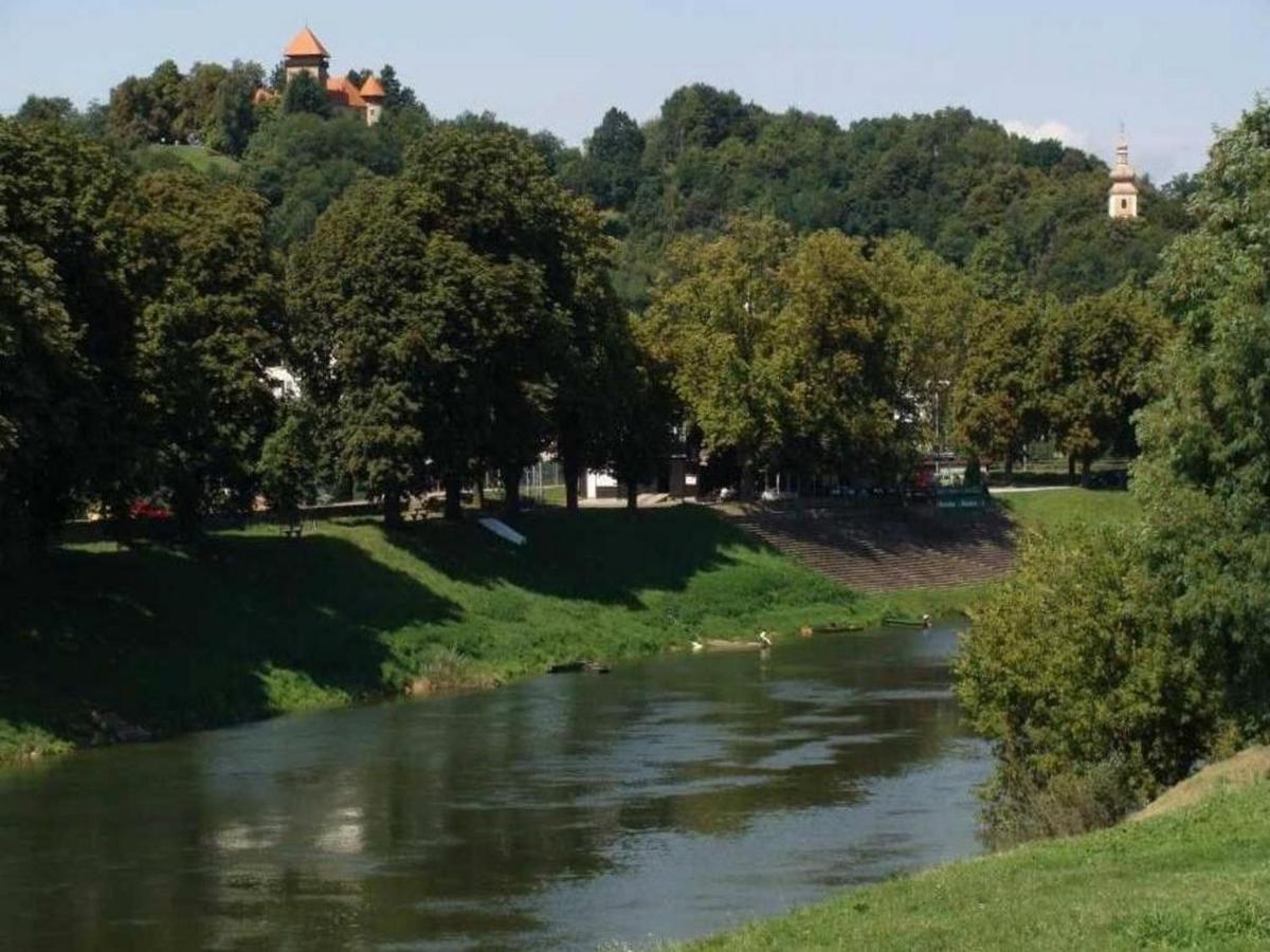 Apartmant Sandra - Big Terace And Free Parking Appartement Karlovac Buitenkant foto
